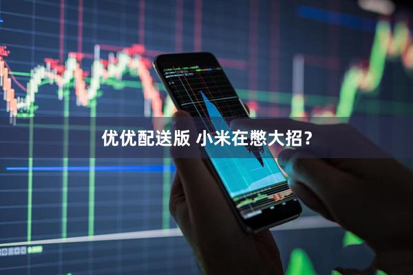 优优配送版 小米在憋大招?