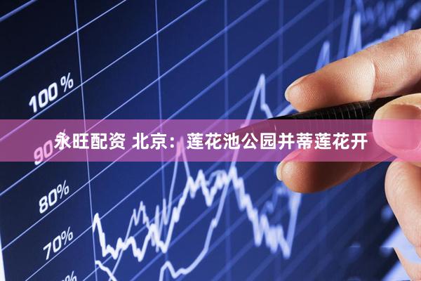 永旺配资 北京：莲花池公园并蒂莲花开